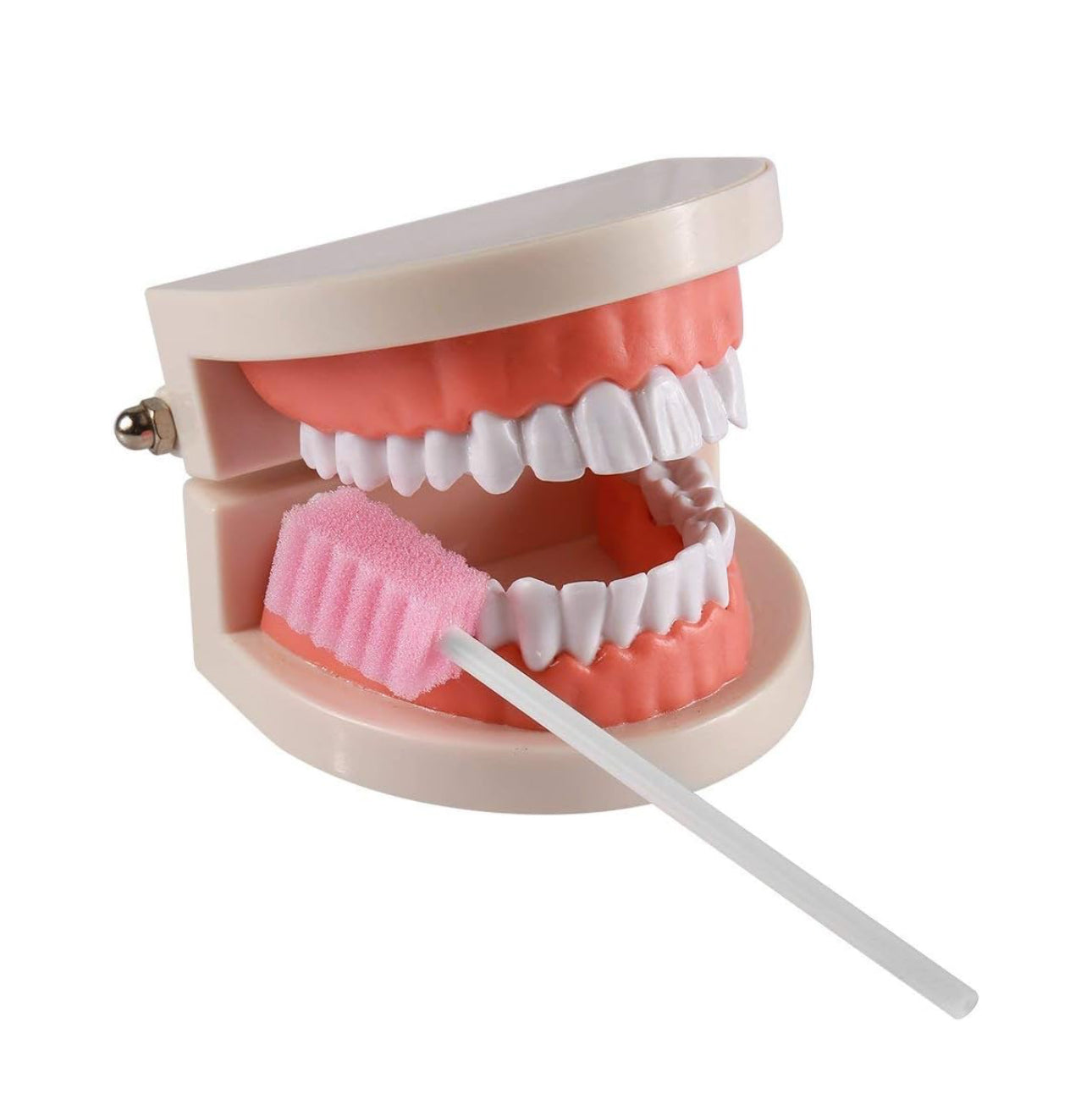 Pink Sponge